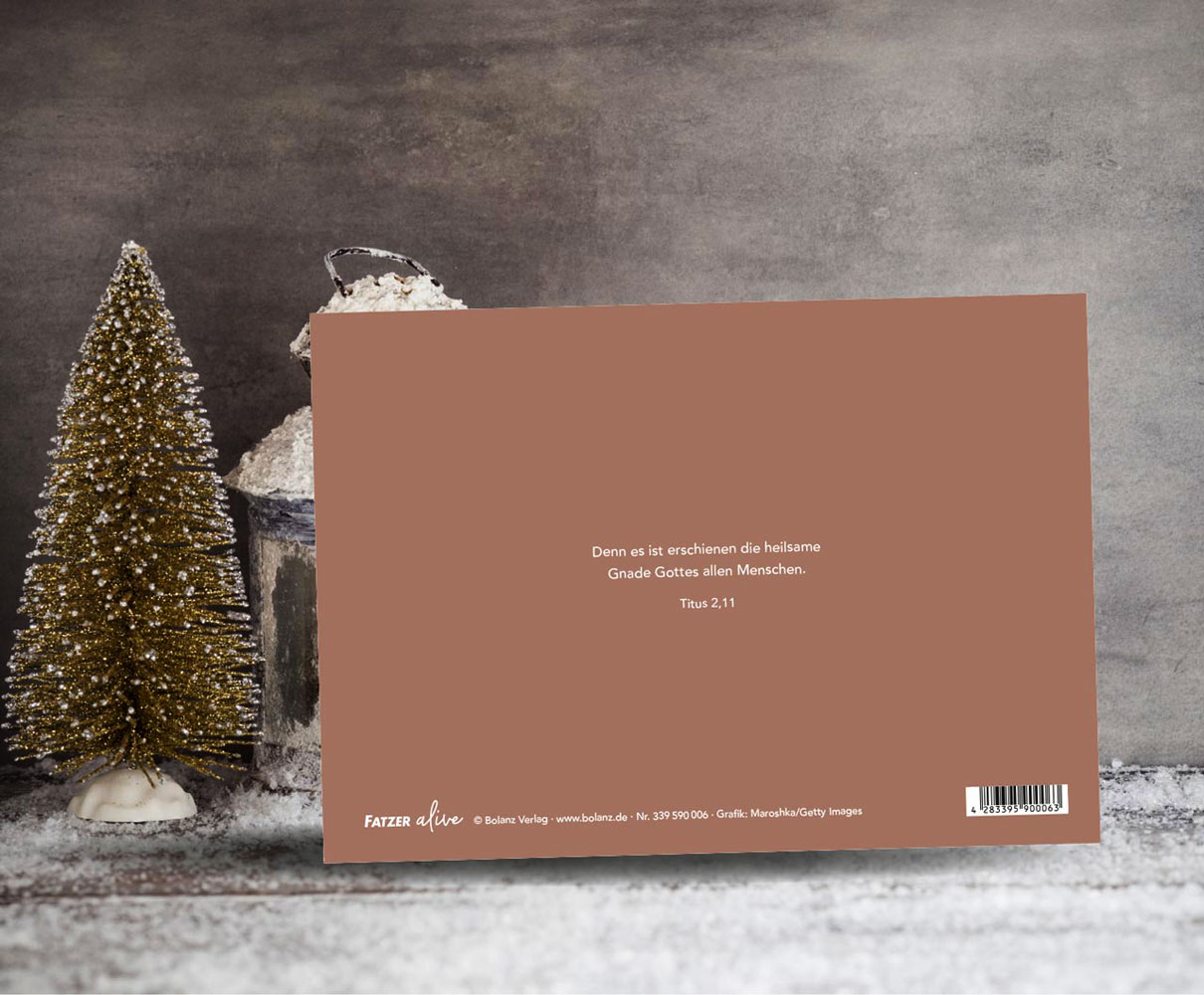 Faltkarte "Heilsame Gnade"