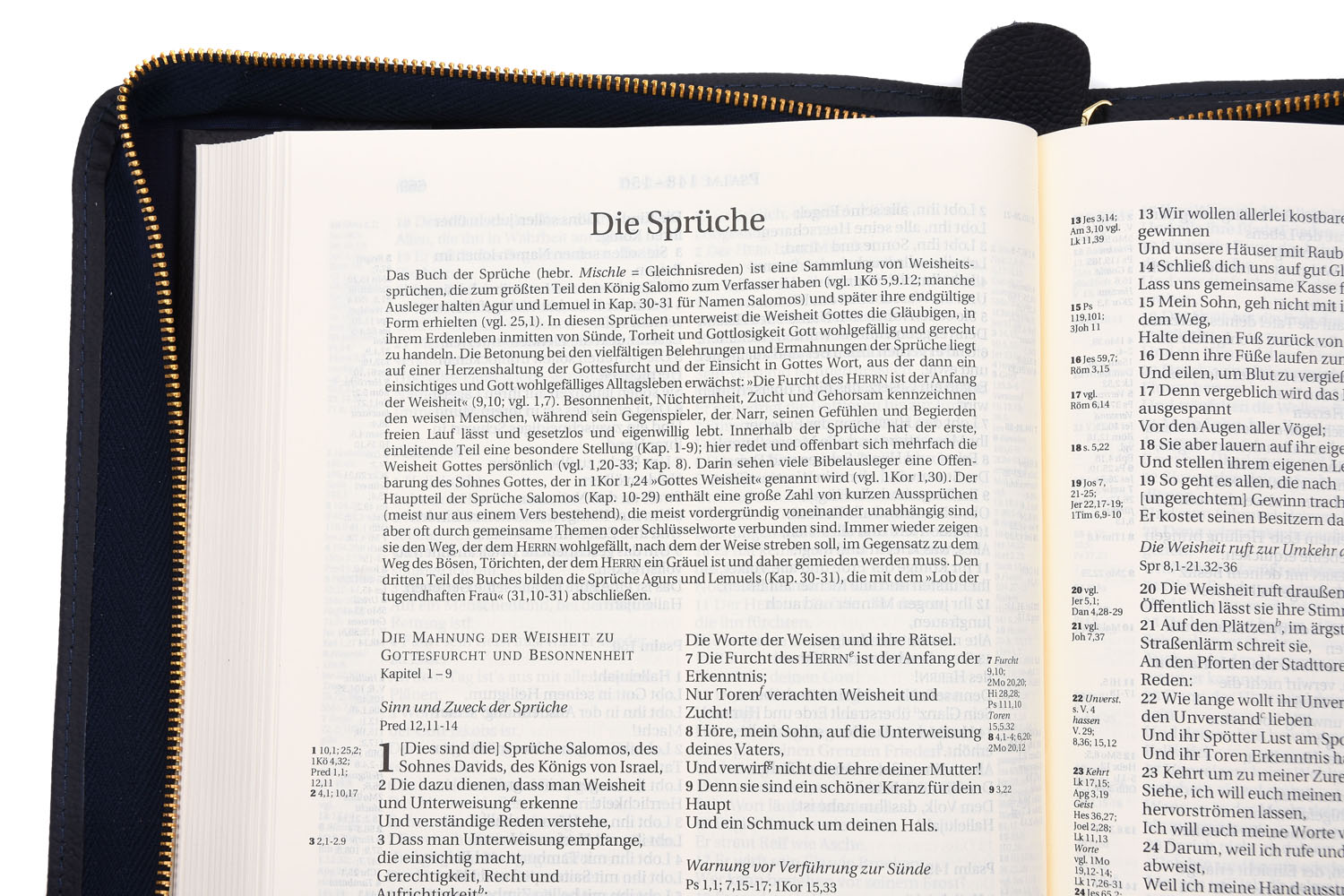 Schlachter 2000 Standardausgabe mit Echtleder-Bibelhülle