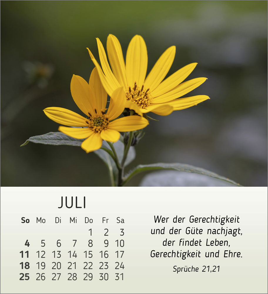 Stille Begegnungen 2027