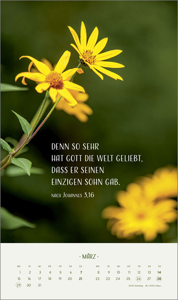 Zarte Blumengrüße 2027 - Wandkalender