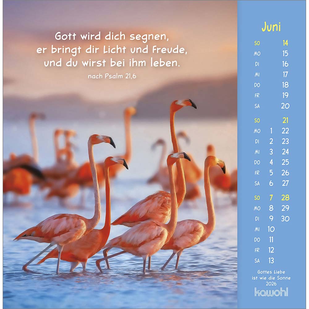 Gottes Liebe ist wie die Sonne 2026 - Postkartenkalender
