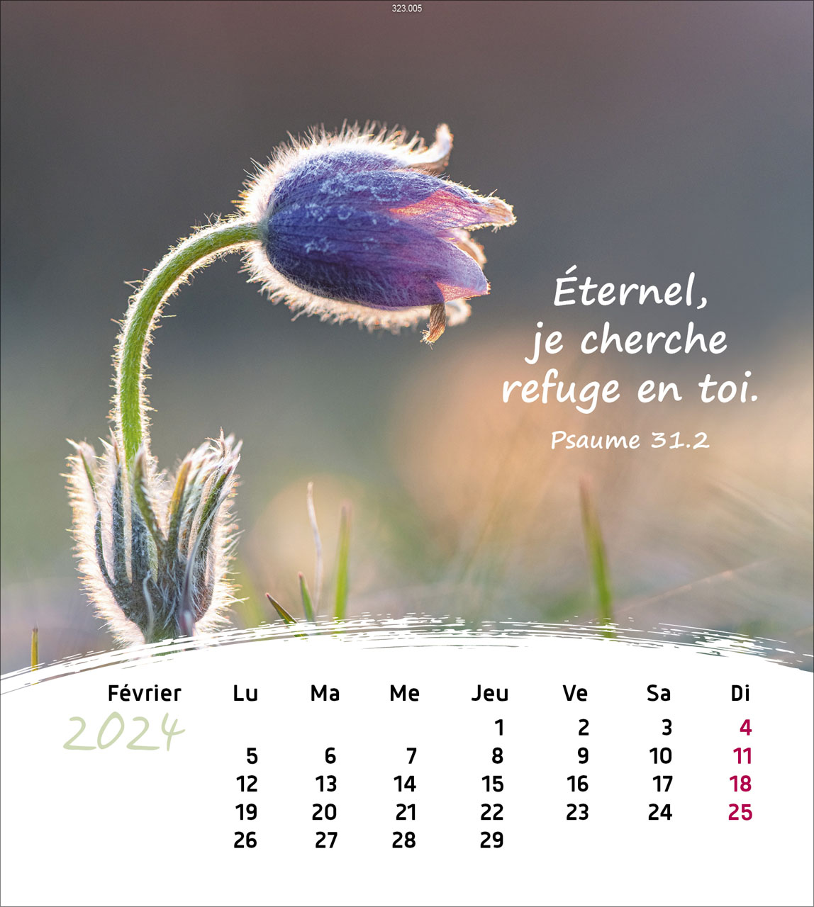 Leben für Dich 2024 - Postkartenkalender Leben für Dich 2024 - Postkartenkalender