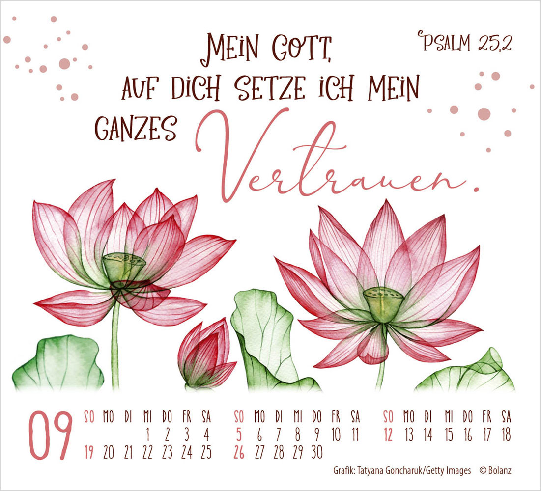 Geschützt in seiner Hand  2027 - Minikalender