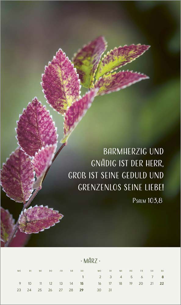 Zarte Blumengrüße 2026 - Wandkalender