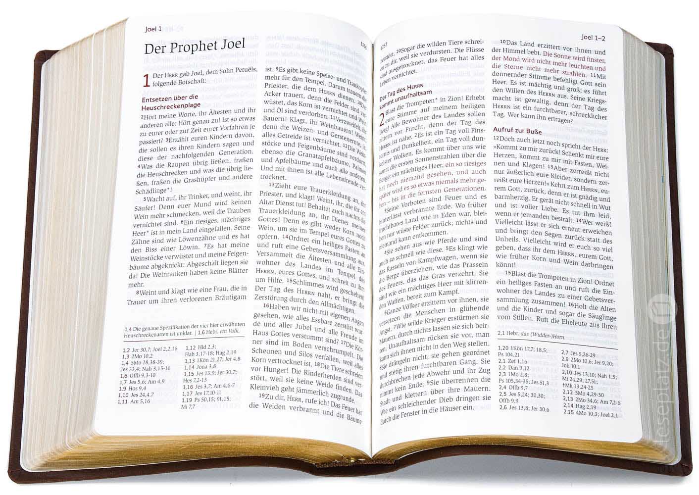 Neues Leben. Die Bibel - Standardausgabe - Kunstleder rotbraun/ Goldschnitt