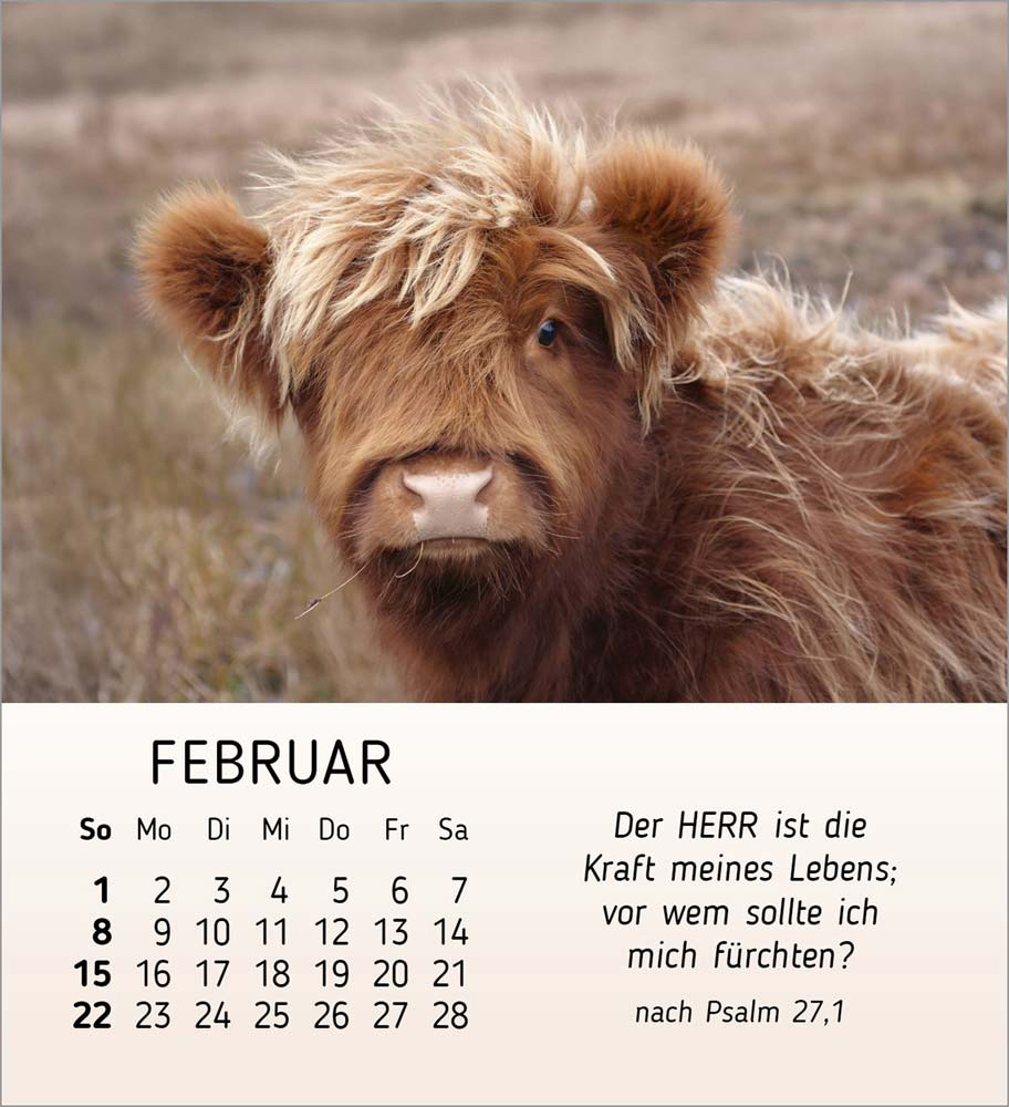 Meine kleinen Freunde 2026