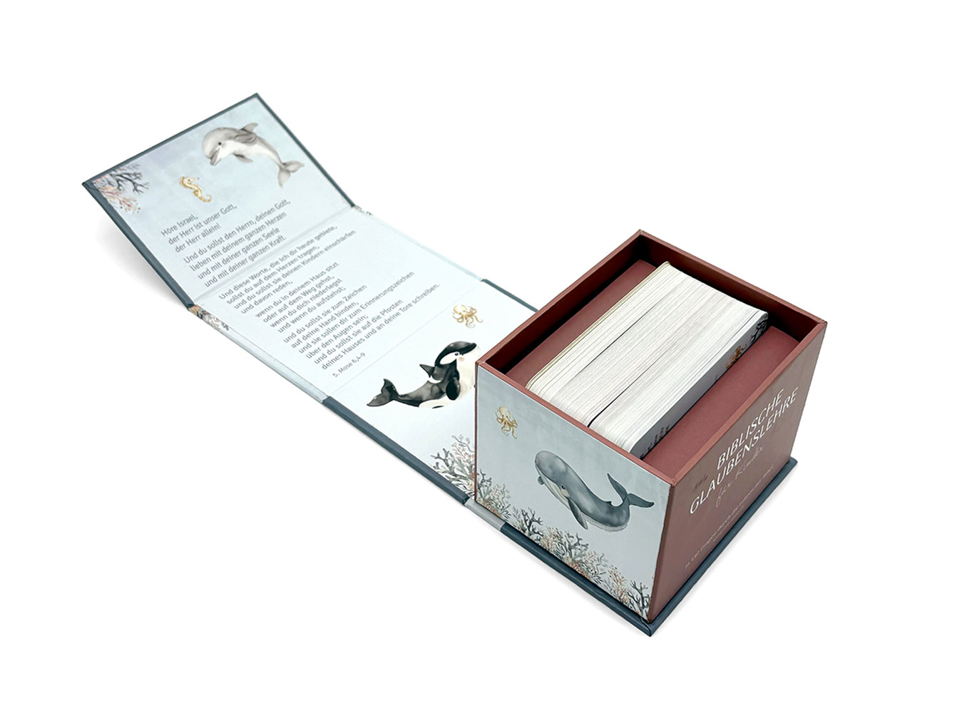 Biblische Glaubenslehre für Kinder - Kartenbox