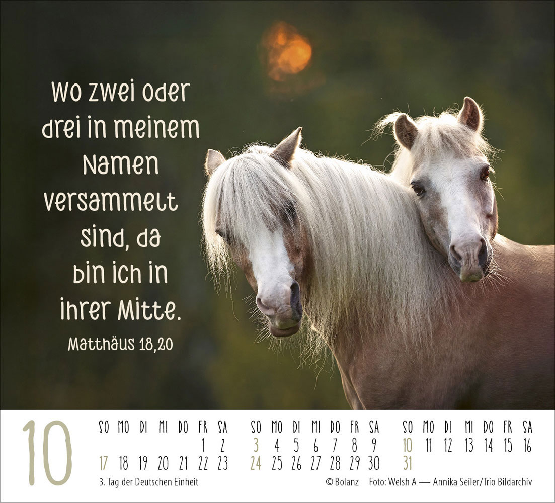 Pferde 2027 - Minikalender