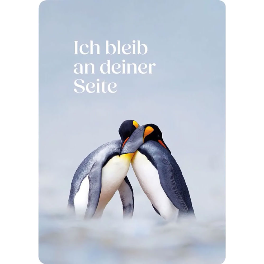 Blessings für dich - Postkarten-Set