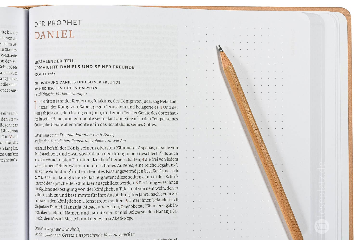 Menge 2020 - Altes Testament Journaling "Prediger bis Maleachi"