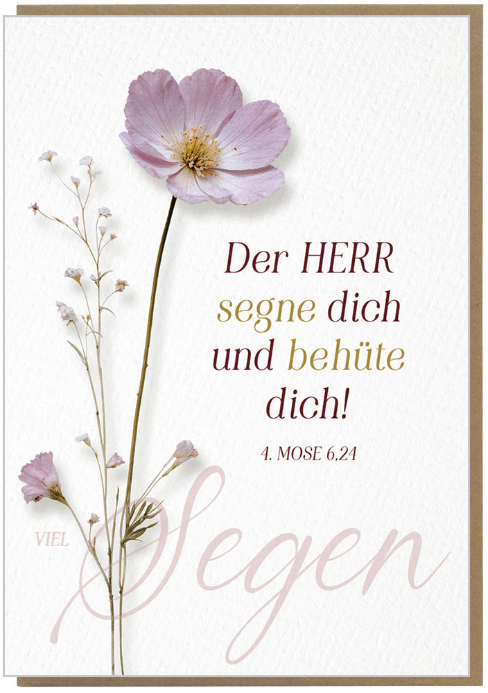Faltkarte "Viel Segen"