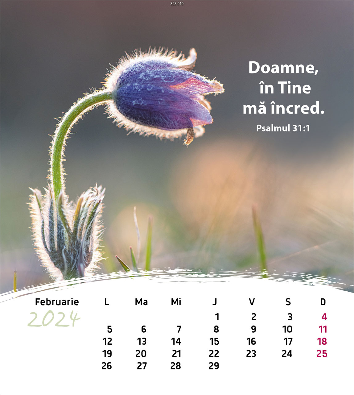 Leben für Dich 2024 - Postkartenkalender Leben für Dich 2024 - Postkartenkalender