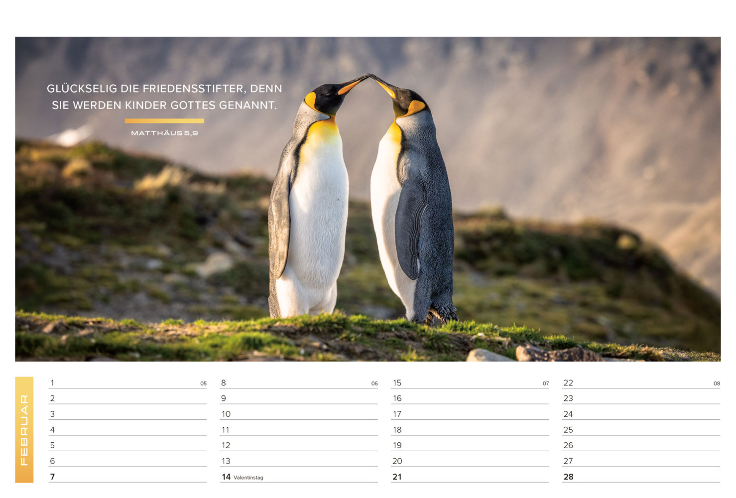 Life-is-More 2027 - Panoramakalender (M-Format)