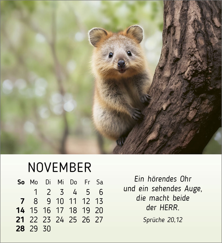 Meine kleinen Freunde 2027