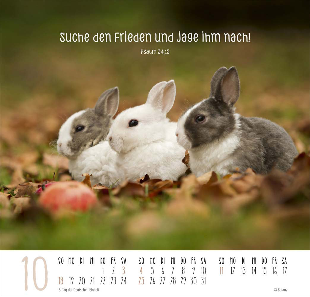 Beste Freunde - Ich mag dich  2026 - Posterkalender