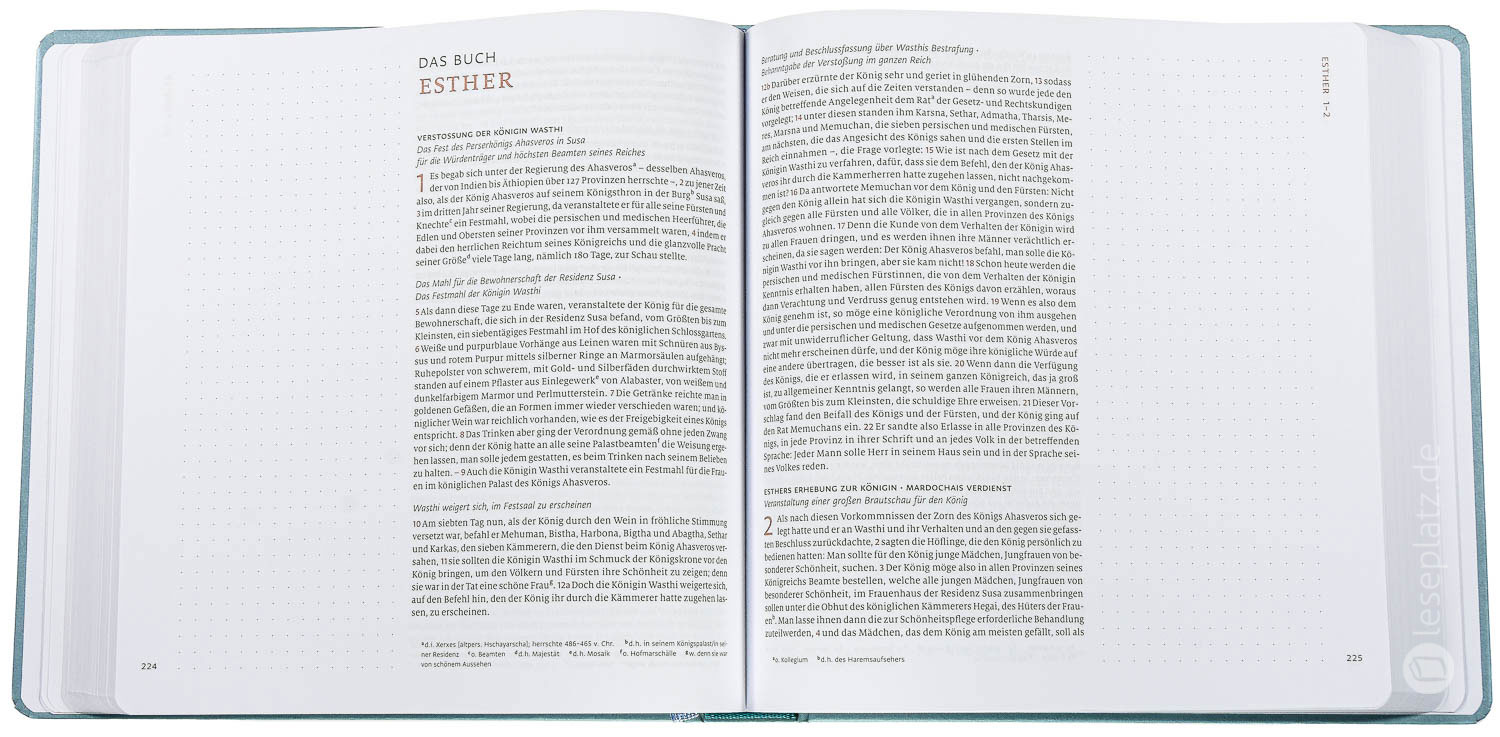 Menge 2020 - Altes Testament Journaling "Könige bis Sprüche"