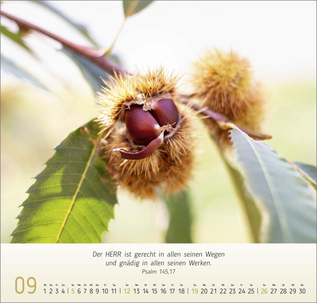 Gesichter der Natur 2027