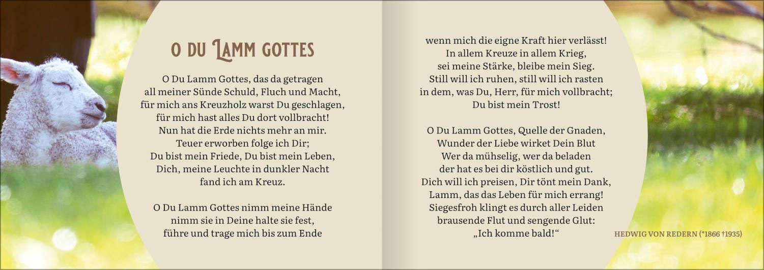 Jesus - das Lamm Gottes