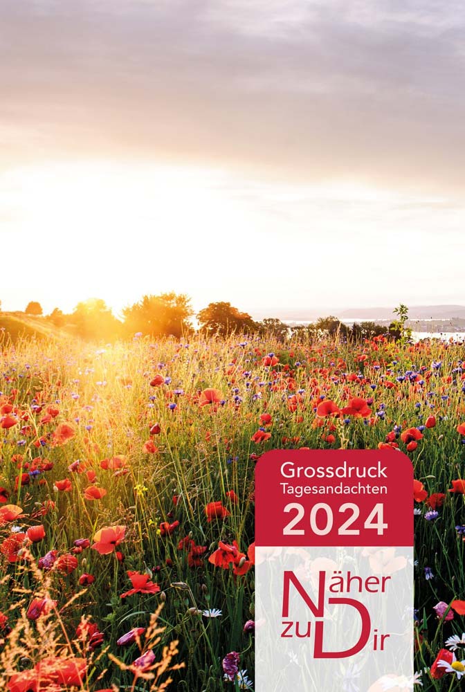 Näher zu Dir 2024 - Buchkalender Großdruck
