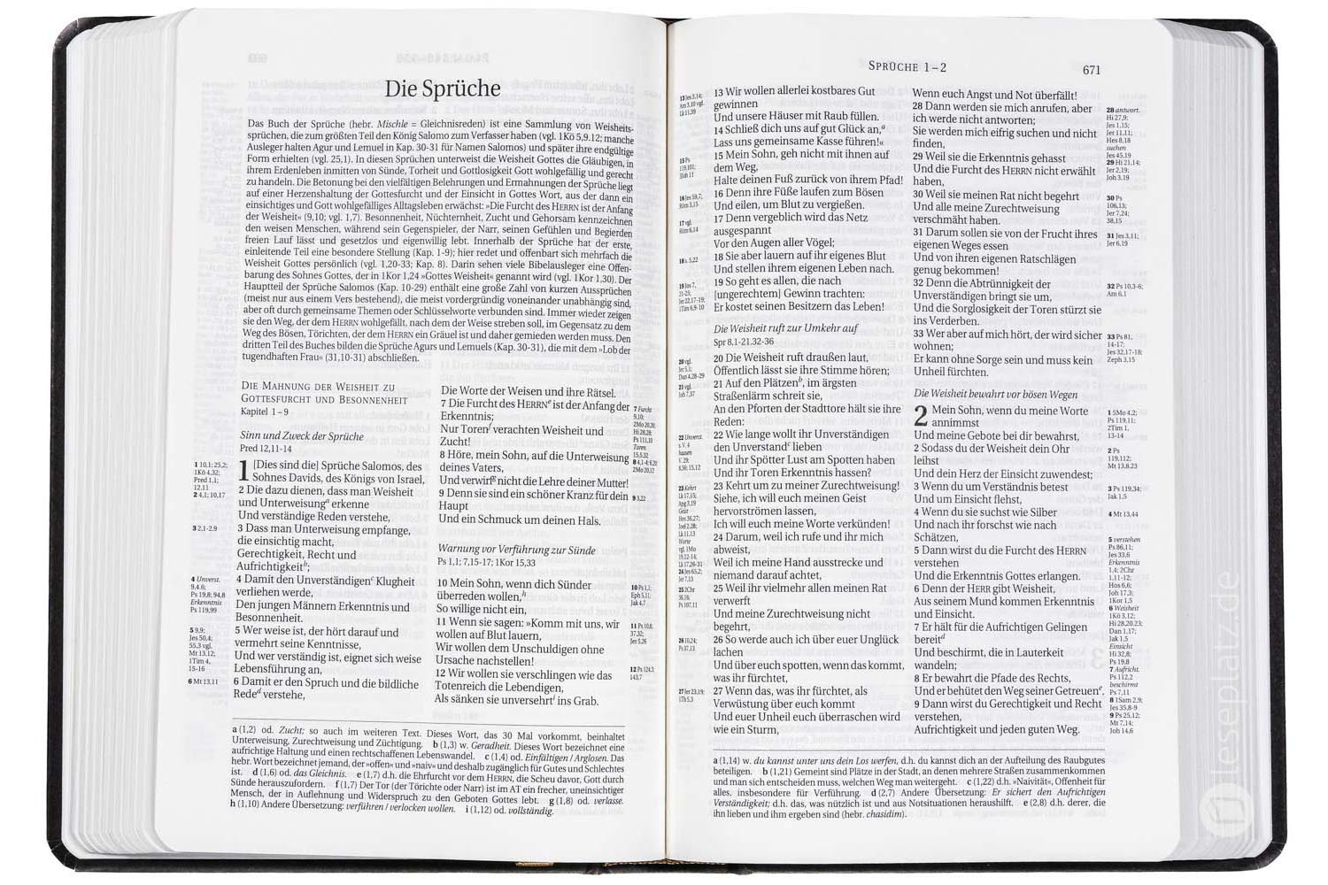 Schlachter 2000 Taschenausgabe - Motiv "Lederoptik"