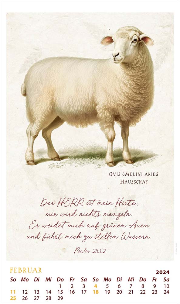 SchmuckStücke des Schöpfers 2024- Posterkalender SchmuckStücke des Schöpfers 2024- Posterkalender