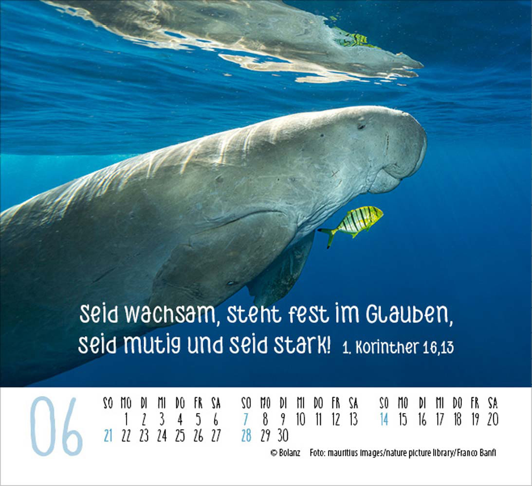 Begegnungen 2026 - Minikalender