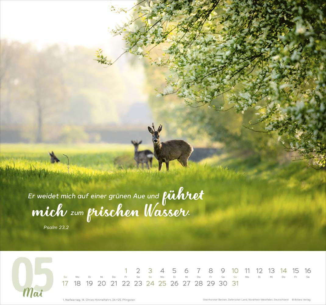 Meine Zeit 2026 - Wandkalender