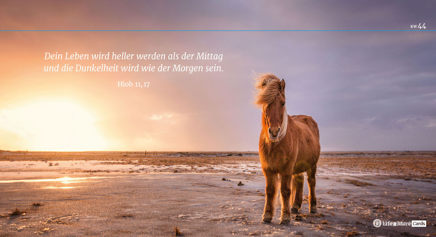 Life-is-More Cards - Aufsteller