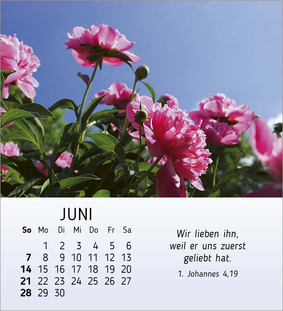 Ich wünsch Dir Freude 2026