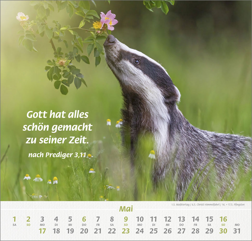 Ich hab dich gern 2027 - Wandkalender