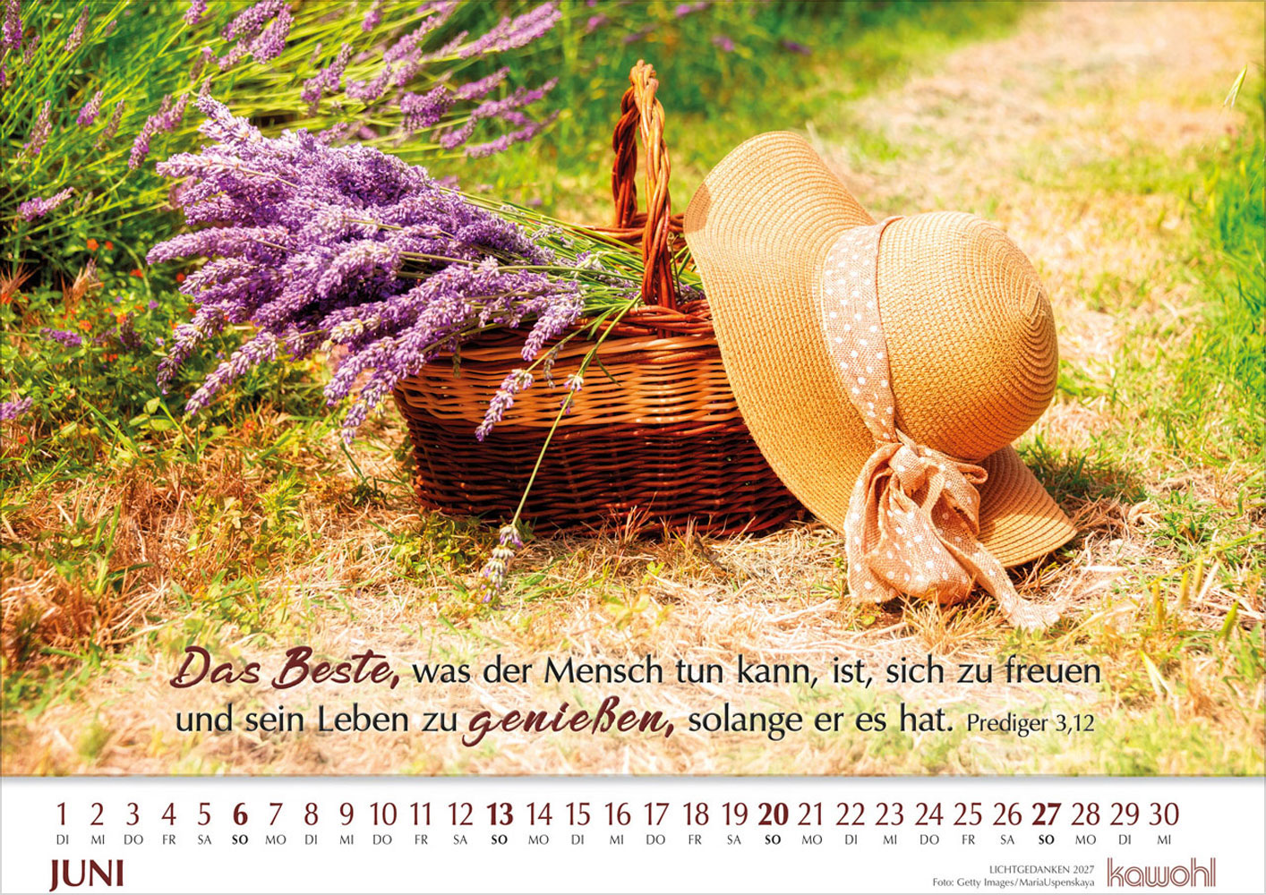 Lichtgedanken 2027 - Wandkalender
