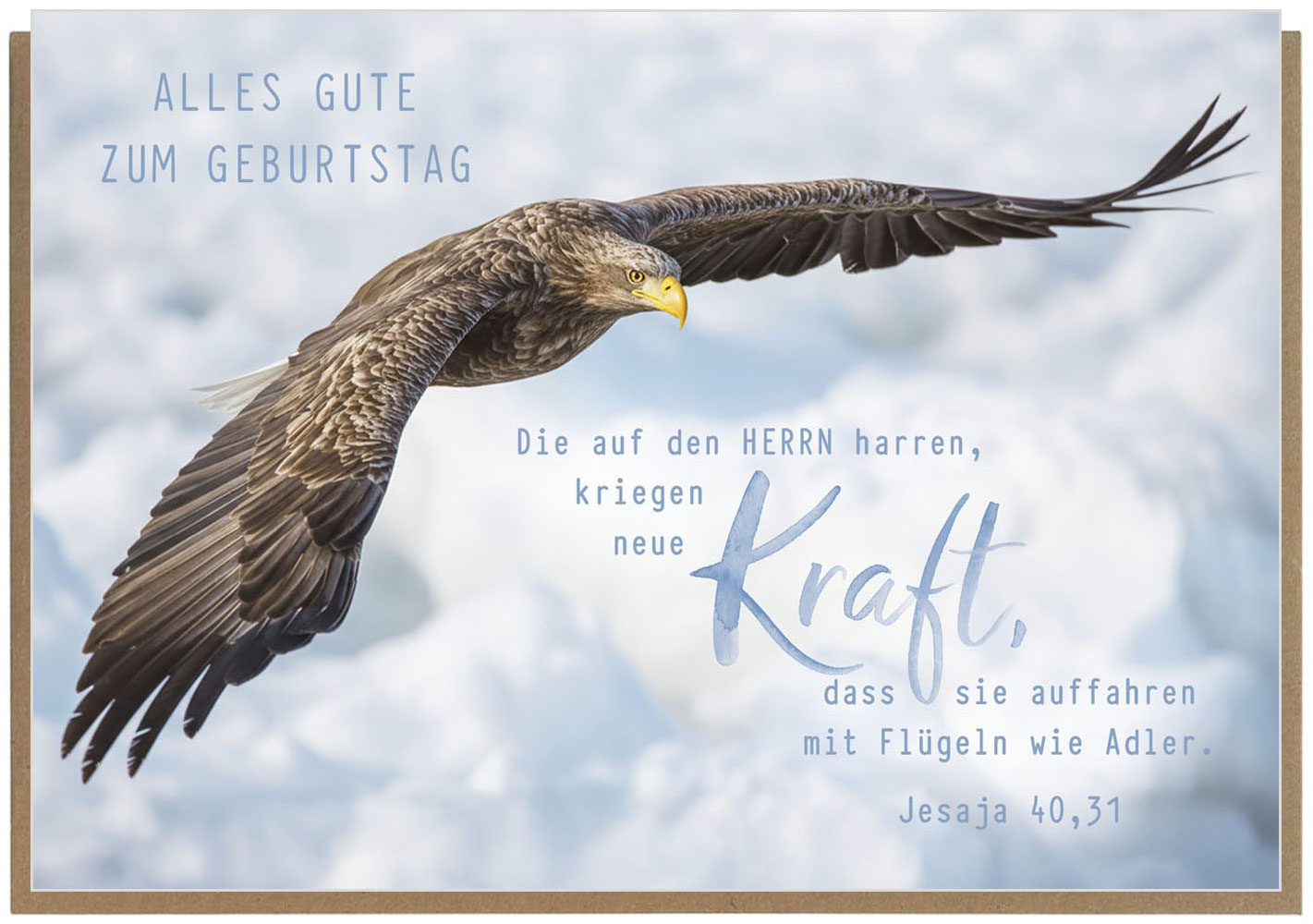 Faltkarte "Neue Kraft"
