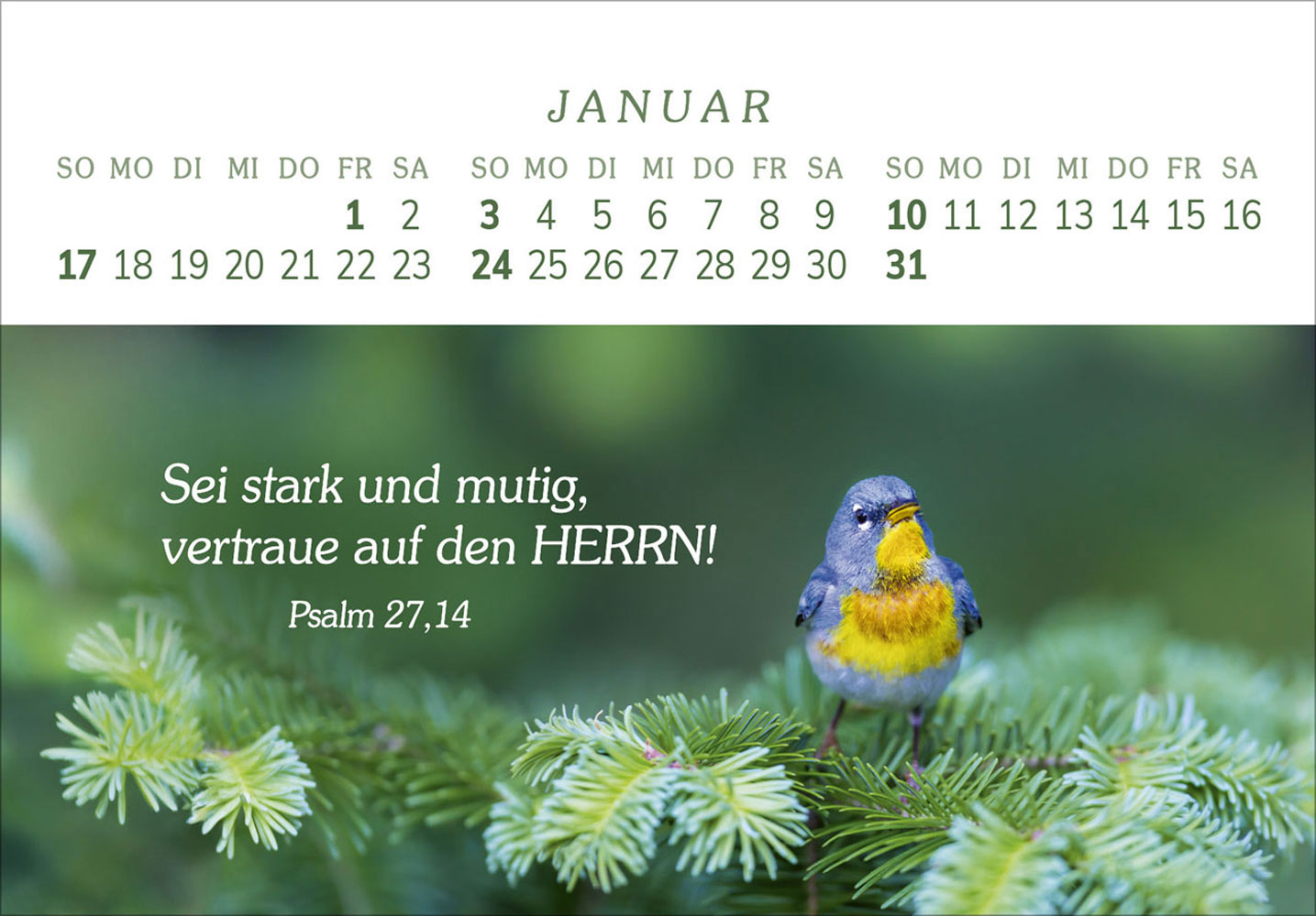 Das Geschenk der Freude 2027