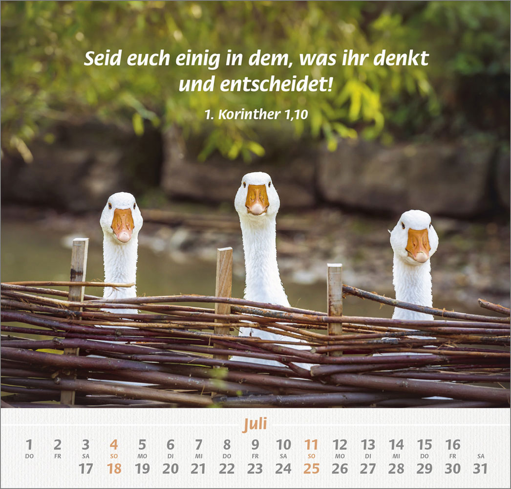 Ich hab dich gern 2027 - Wandkalender