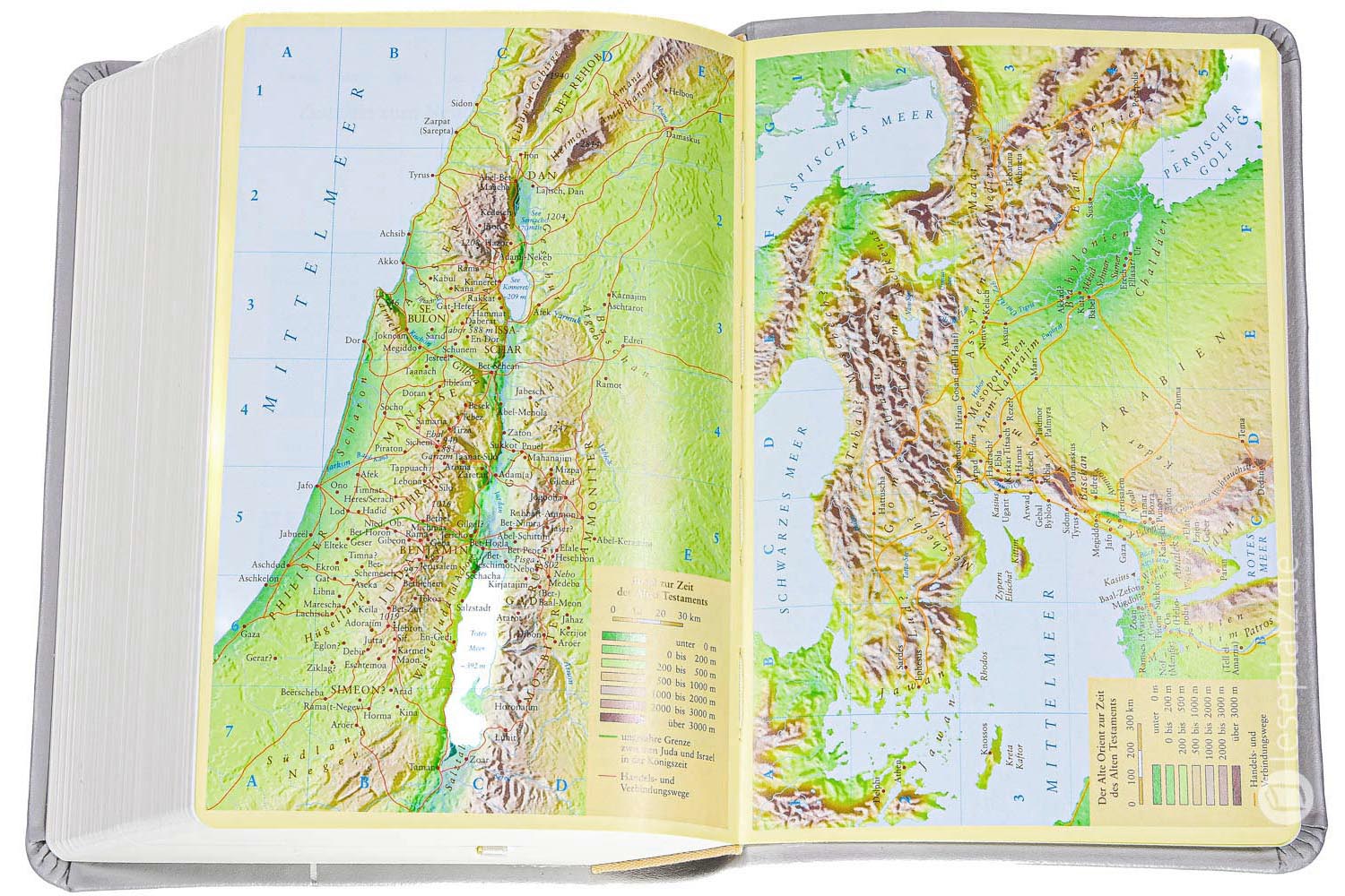 Neues Leben. Die Bibel - Taschenausgabe - Leder grau