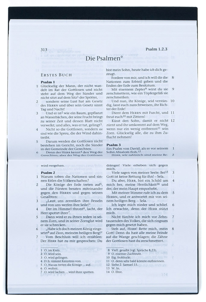 Elberfelder 2003 - Das Neue Testament mit Ps.+Spr. "Druckerpresse'' - Querform