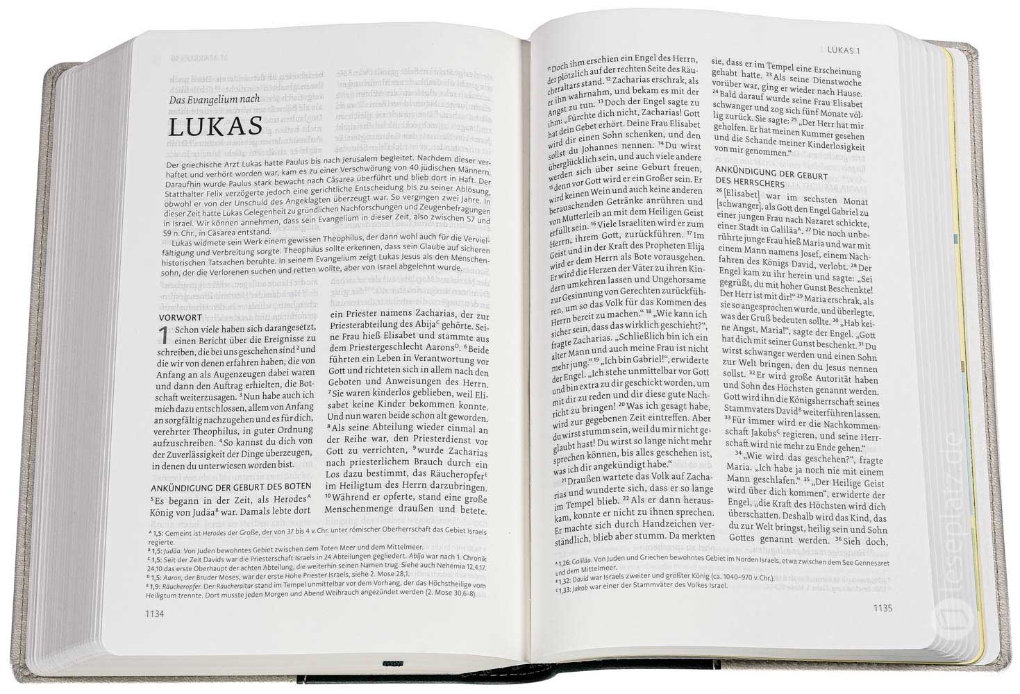 NeÜ - Standardausgabe Kunstleder grün/grau