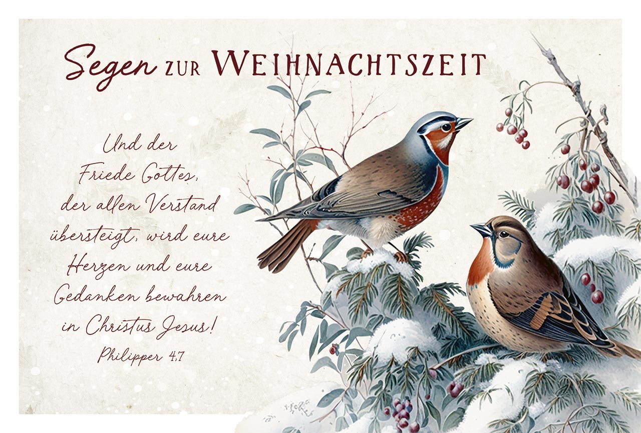 Mini-Spruchkarten-Set Weihnachten