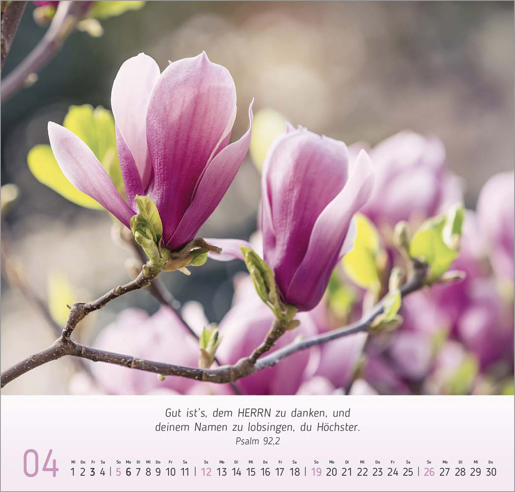 Impressionen Blumen 2026