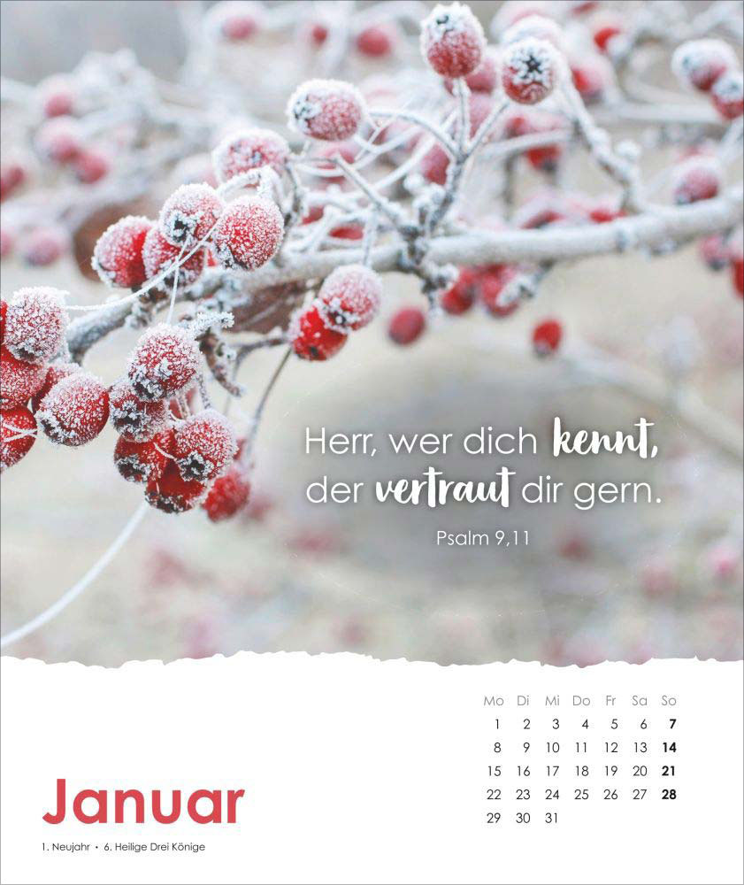 Lobe den Herrn, meine Seele 2024 - Postkartenkalender Lobe den Herrn, meine Seele 2024 - Postkartenkalender