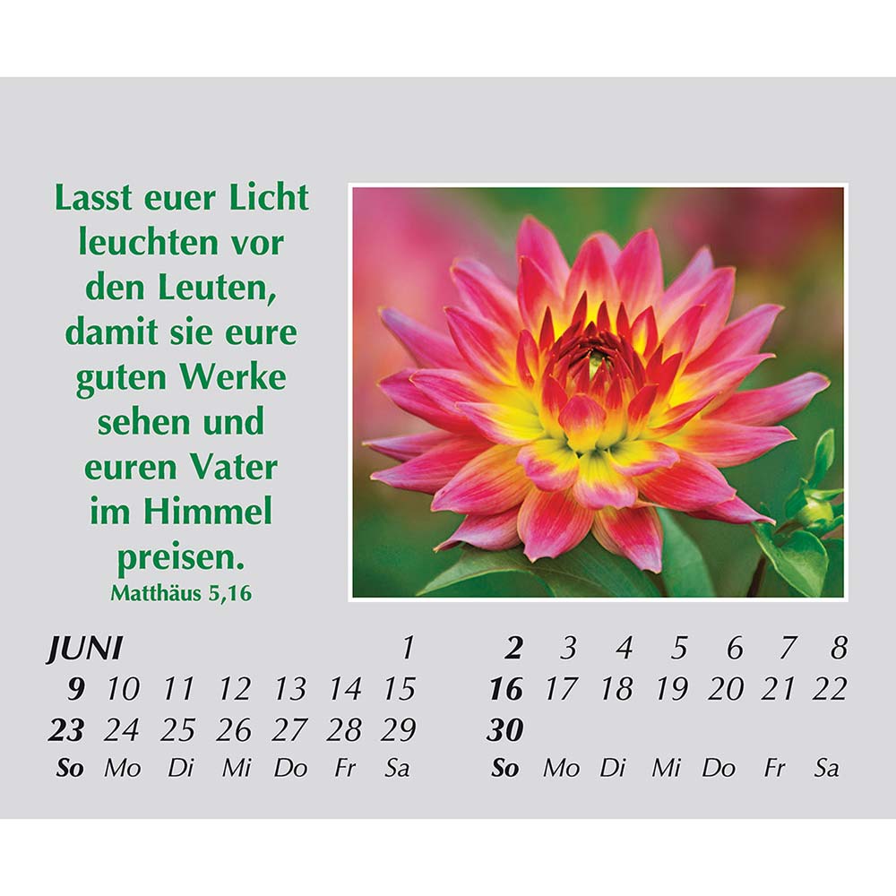 Freude für jeden Tag 2024 Freude für jeden Tag 2024