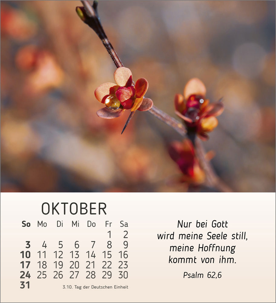 Stille Begegnungen 2027