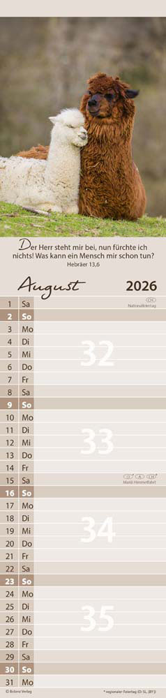Für Euch 2026 - Streifenterminer