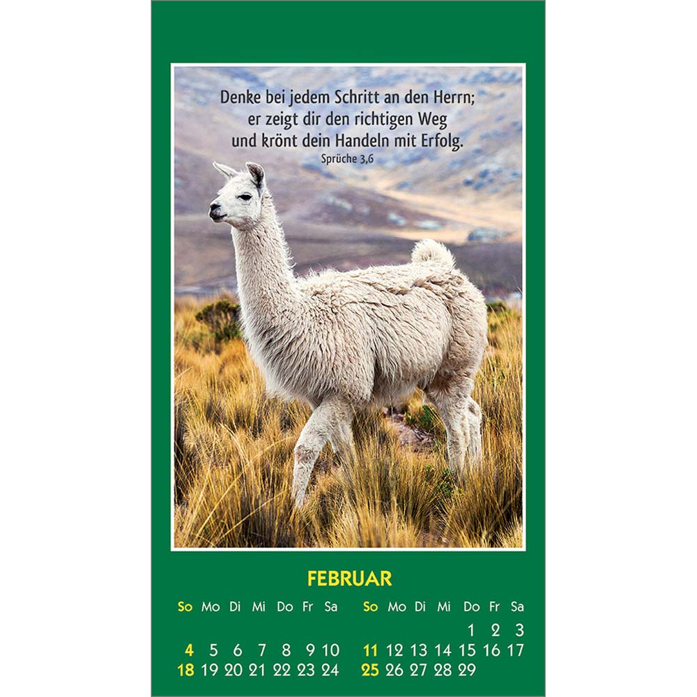 Hallo Du 2024 - Aufkleber-Kalender