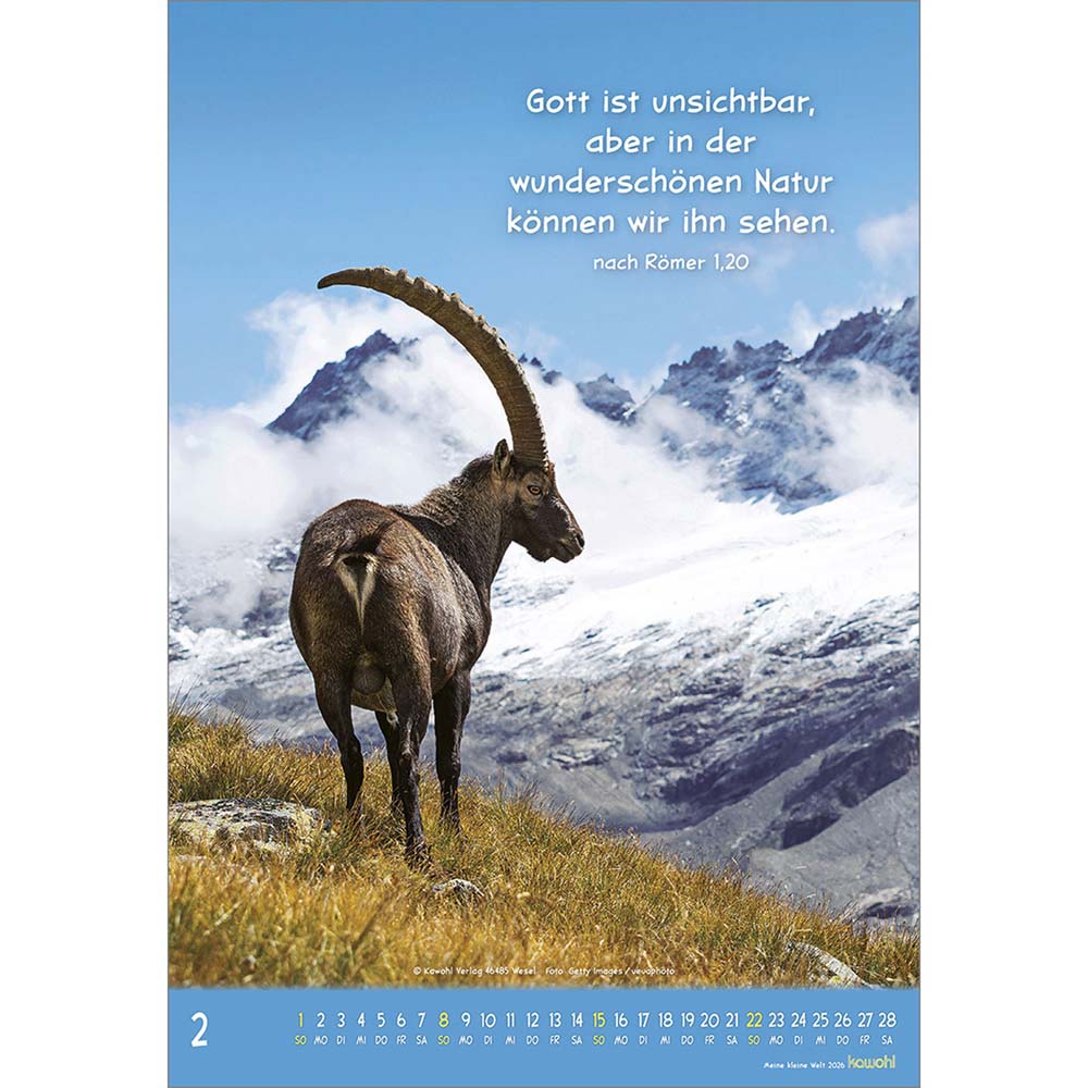 Meine kleine Welt 2026 - Wandkalender