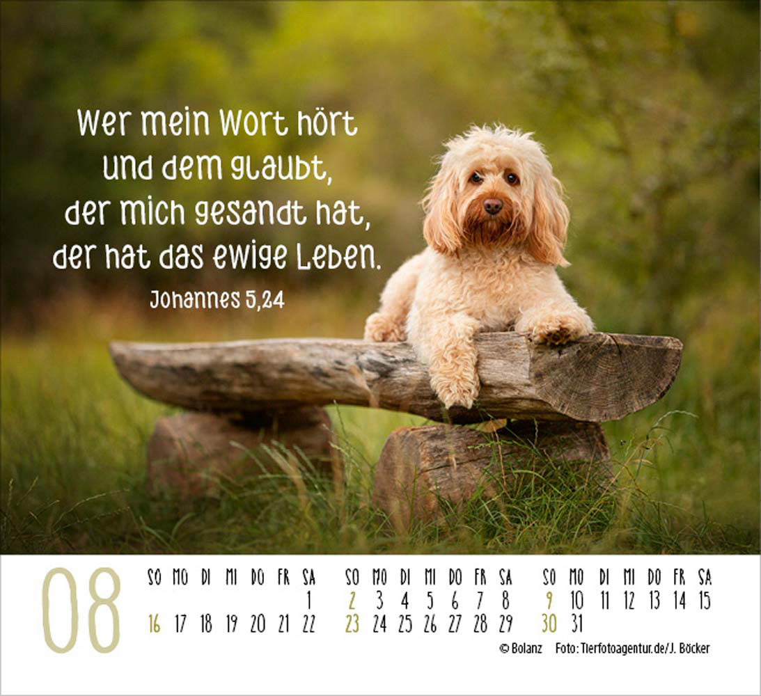 Hunde 2026 - Minikalender Hunde 2026 - Minikalender