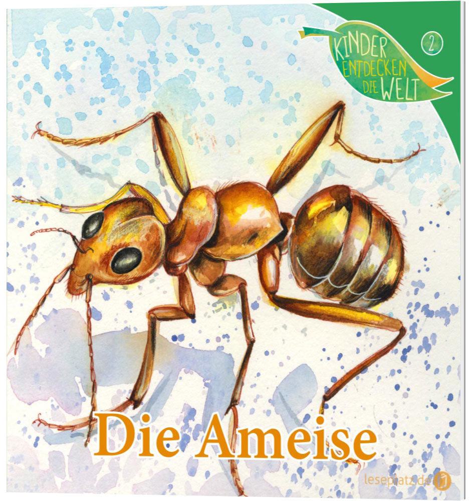 Die Ameise (2)