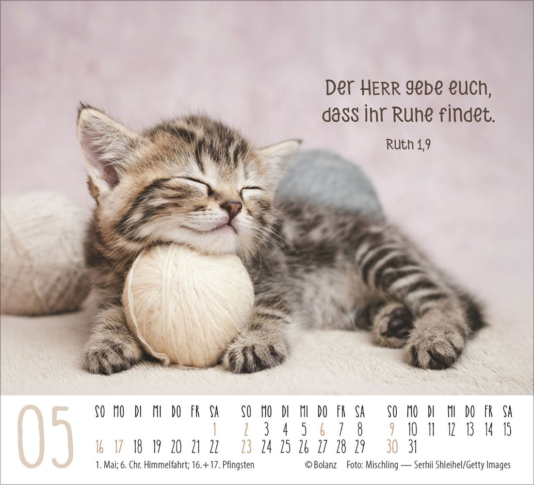 Katzen 2027 - Minikalender