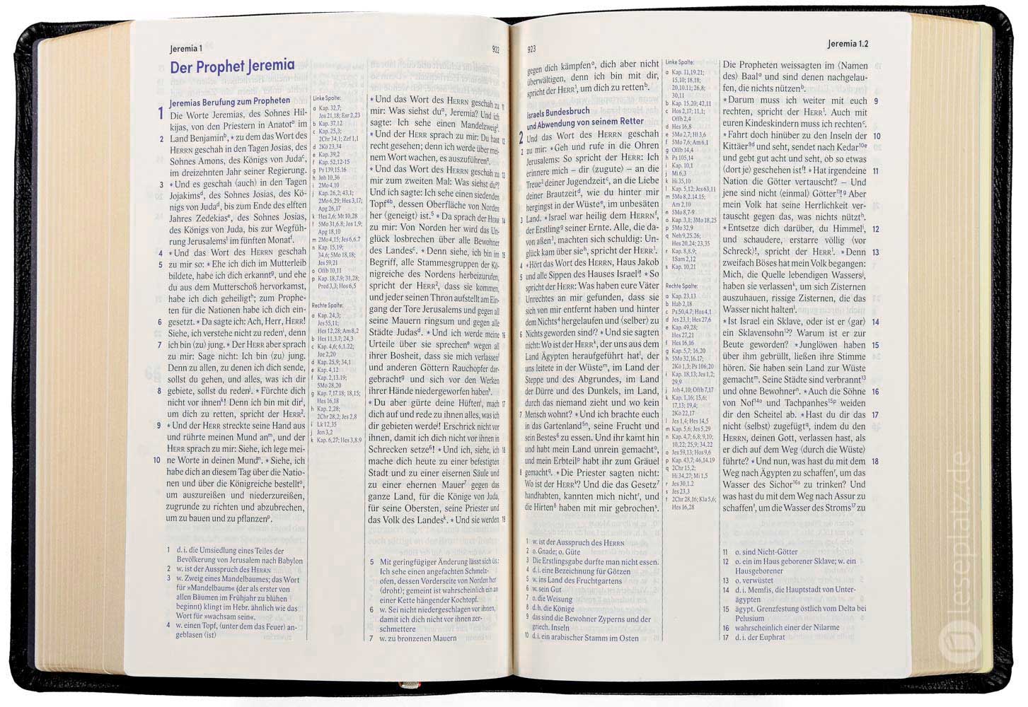 Elberfelder Bibel 2006 Standardausgabe - Leder schwarz mit Goldschnitt