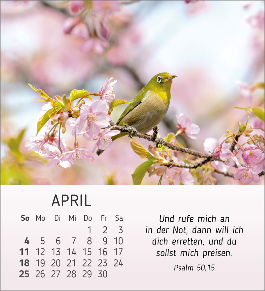 Stille Begegnungen 2027